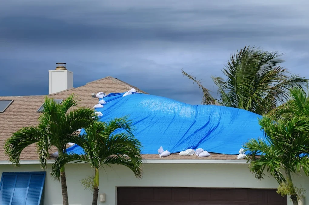 Commercial Roof Insurance Claim Assistance in Asheville, NC